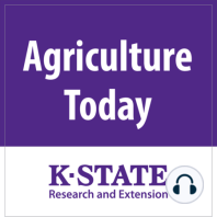 1546 - Planning for Taxes and Estate Planning...Ag Agent Update