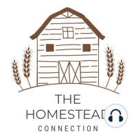 Ep. 22 Dairy Sheep on the Homestead with Rachel Hester