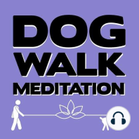 Leaving Negativity (Walking Meditation)