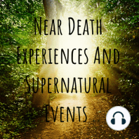 Near Death Experience Panel