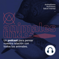 Personas Ratas: ¿cómo son realmente los animales que son utilizados para experimentación? - con Jime Ortega