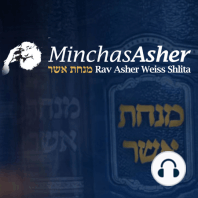 A Discussion of Mental Health Issues in Halacha - HaGaon Rav Asher Weiss shlit"a & Dr. Yaakov Freedman (EN)