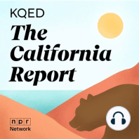 California’s Reparations Effort for Forced Sterilizations Criticized