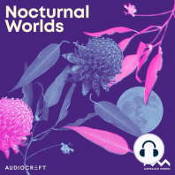 Welcome to Nocturnal Worlds