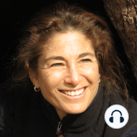 Mindful Glimpses: A Conversation with Tara Brach and Loch Kelly