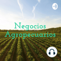 EL ULTIMO PROGRAMA DE NEGOCIOS AGROPECUARIOS EN RADIO 620