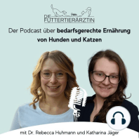 Tierärztliche Ernährungsberatung: Wie sie abläuft und wem sie helfen kann