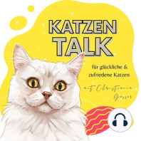 9 Ideen: So powerst du deine Katze aus, auch wenn du nicht ganz fit bist