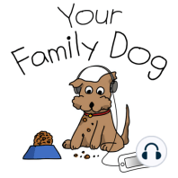 YFD 202: Caroline Alepo on PTSD in Dogs