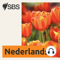 Learn Dutch - Episode 20: the seasons