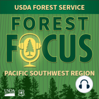 Episode 38: Seeing Our Forests With Sound