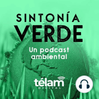 Empleo Verde: Un abordaje sobre desarrollo sostenible