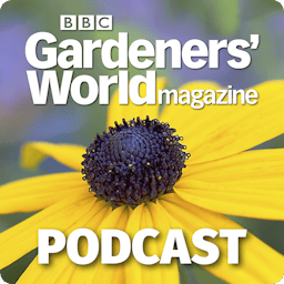 How to grow veg in winter with Rekha Mistry | BBC Gardeners’ World ...