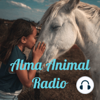 Alma Animal Radio (Trailer)