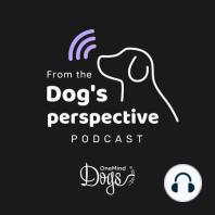 Lynn Madden’s inspiring journey of understanding dogs, overcoming adversity, and finding healing through the bond with her dogs | Episode 12