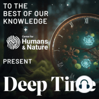 Deep Time: The Cosmos and Us