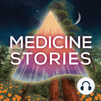 106. Chronic Illness: Telling Honest Stories, Navigating the Underworld, and Tending the Roots - Sarah Ramey