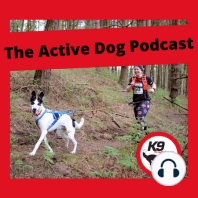 Episode 6: Canicrossing with a small dog