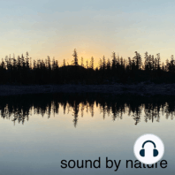 154: Surreal Ice Sounds At Medicine Lake