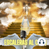 Novena a la Inmaculada Concepción de María- Día 5- Domingo 03 de Diciembre 2023.