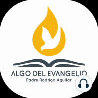 Lucas 10, 21-24 - I Martes de Adviento