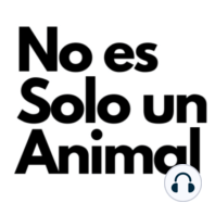 Instituto de Protección Animal de Bogotá