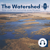 39 | Water stories and stewardship along the St. Croix River (Stillwater, MN)