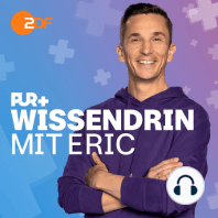 Haustier: Hund? Darum solltest du es dir WIRKLICH gut überlegen!