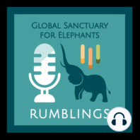Episode 24: Ramba (Part VI) & Wildlife Rehab