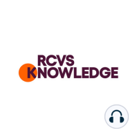 Knowledge Natter: In conversation with Knowledge Award Champions Perdi Welsh and Niamh Clancy on developing Registered Veterinary Nurses’ skills and confidence in Quality Improvement initiatives