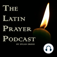 Pray the Divine Praises in Latin