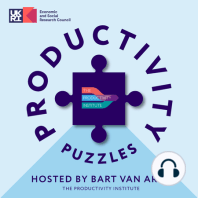 Wrapping up Productivity Puzzles 2023: brief interviews with productivity experts