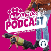 Ep 3: Training without Force, a Dog Bite and a Kid's Backpack