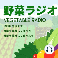 #40 畑に最後まで残ったのは白菜。オレンジの白菜もあります！編