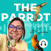 Episode 5: Talking About A Little Bit of This and That - Answering Common Conure Questions