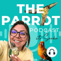 Episode 12: Parrot Sleeping Positions, Parrots in the Wild, High Value Treats, Travel with Birds, & Perspectives from a Zookeeper!