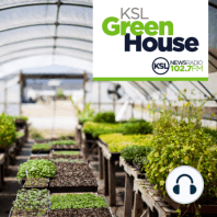 KSL Greenhouse Full Show 12/23/23