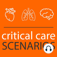 TIRBO 51: Critical care problems are syndromes