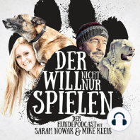 03 "Der will nicht nur spielen" - Tierschutzhund? Ja oder nein?