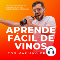 Aprende fácil de vinos #21. Vinos de Chile