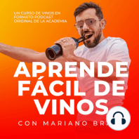 Aprende fácil de vinos #23. Vinos de Nueva Zelanda