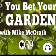 You Bet Your Garden 2023 Year in Review