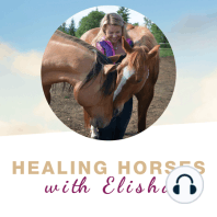 13: How to set expectations for your horse's health journey