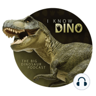 Dino Trace Fossils Part 1: Exploring Paleo-Footprints
