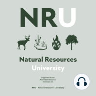 Timber University - Natural regeneration of pines | #221