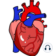 Learn Heart Murmurs in 10 Minutes (With Heart Murmur Sounds)