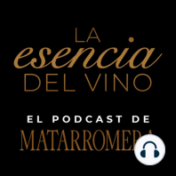 3: MIGUEL ÁNGEL NAVARRO - Año de Nieves - La Esencia del Vino &#127863;. MATARROMERA.