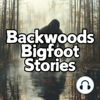 BWHS Ep:8 Terror In The Woods: Chapter Three