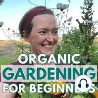 029: What To Do In Your November Garden