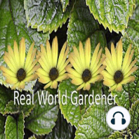 What Is Sustainable Floristry in Real World Gardener
